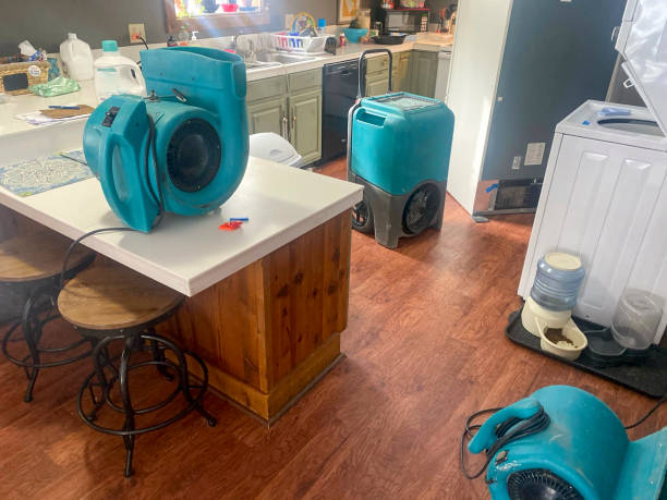 Best Flooded house restoration  in Murillo, TX