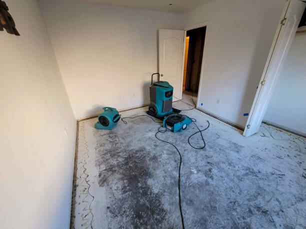 Best Commercial water damage restoration  in Murillo, TX
