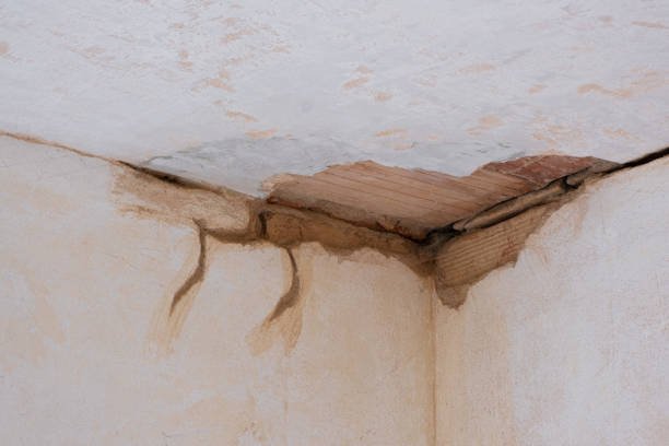 Best Basement water damage restoration  in Murillo, TX