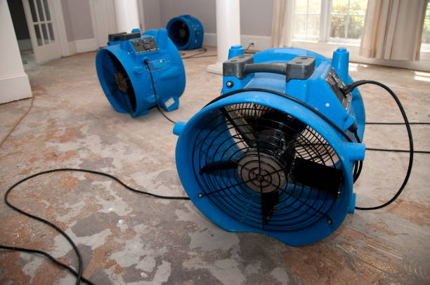 Local water damage restoration in TX