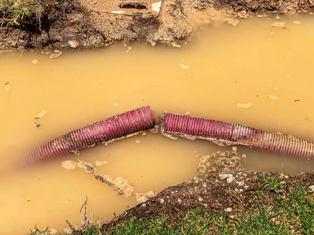 Best Flood damage cleanup  in Murillo, TX